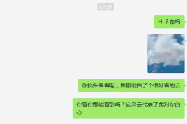 齐齐哈尔融资清欠服务